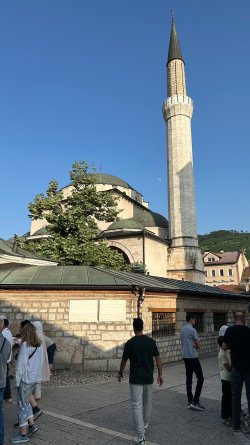 IMG_2452.JPEG