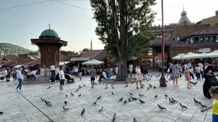 IMG_2462.JPEG