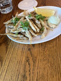 IMG_1062.jpeg