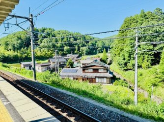 IMG_3195.jpeg