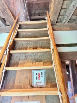 IMG_3257 (2).jpeg