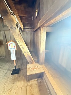IMG_3267 (1).jpeg