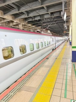 IMG_3355 (1).jpeg