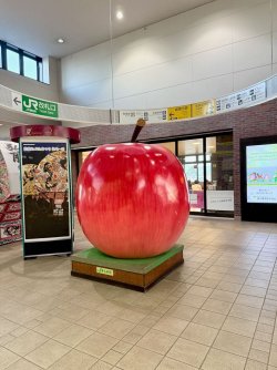 IMG_3382 (1).jpeg