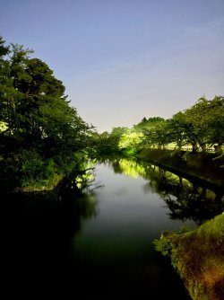 IMG_3402 (1).jpeg