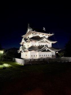 IMG_3408 (1).jpeg