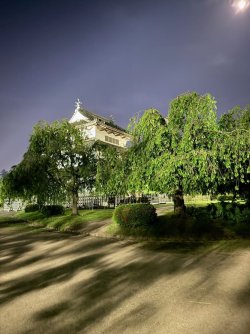 IMG_3424 (1).jpeg