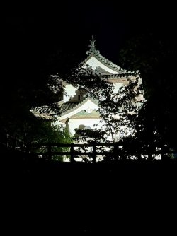 IMG_3441.jpeg