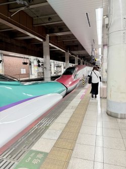 IMG_3498 (1).jpeg