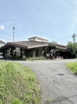 IMG_3510.jpeg