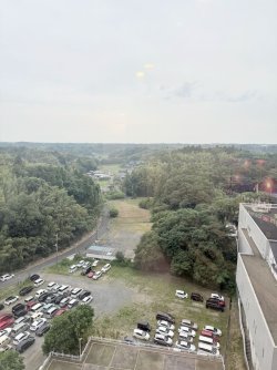 IMG_3558.jpeg