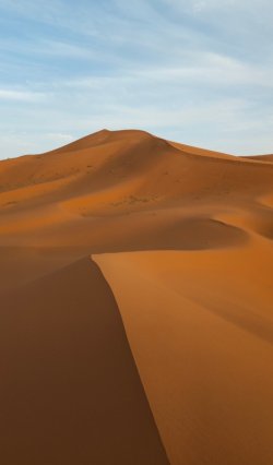 Screenshot_20250612_081356_Gallery.jpg