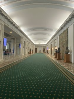 IMG_7697.jpeg