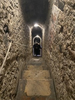 IMG_7723.jpeg