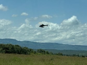 IMG_6781.JPG