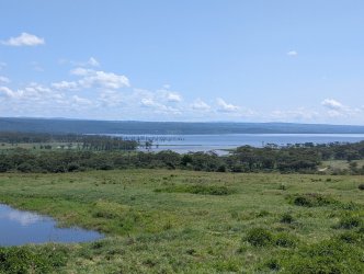 PXL_20250607_094928507.jpg