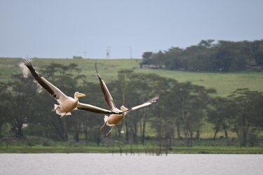 DSC_0427.JPG
