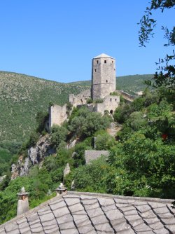 IMG_8881.JPG