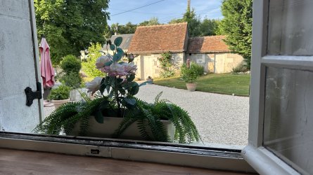 IMG_3656.jpeg
