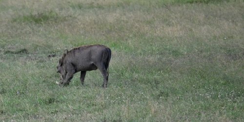 DSC_0487.JPG