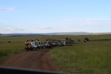 DSC_0504.JPG