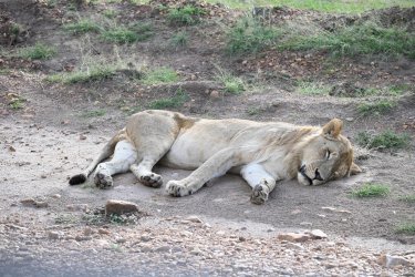 DSC_0505.JPG
