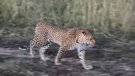 IMG_6912.JPG