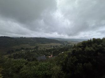 IMG_7214.jpeg