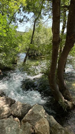 IMG_2823.JPEG