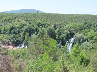 IMG_8893.JPG
