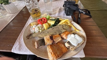 IMG_2919.JPEG