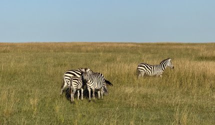 IMG_6920.JPG
