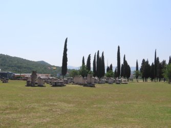 IMG_8933.JPG