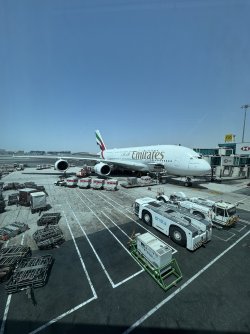 IMG_3839.jpeg