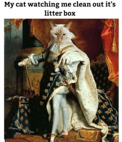 684acd208e8ce_classic-memes.jpg