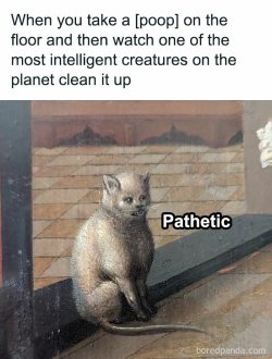 classic-memes-2-684ab2f965712__700.jpg