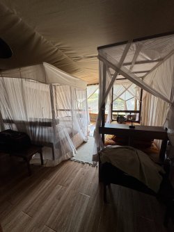 IMG_6974.JPG