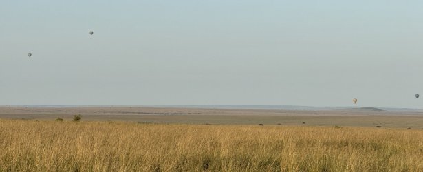 IMG_6994.JPG