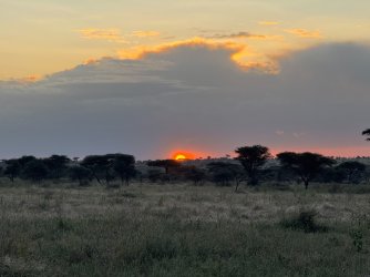 IMG_7027.JPG