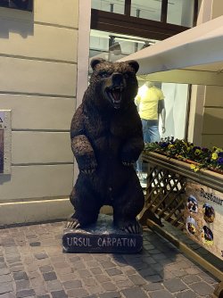 IMG_7744.jpeg