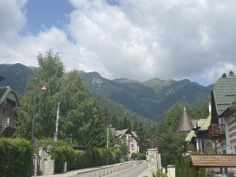 IMG_7771.jpeg