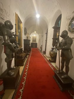 IMG_7782.jpeg