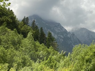 IMG_7808.jpeg