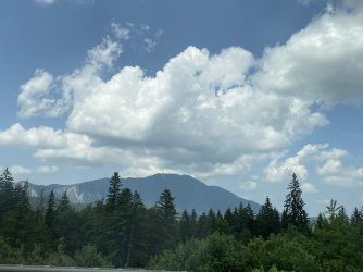 IMG_7820.jpeg