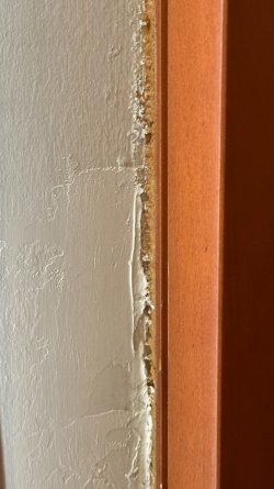 IMG_3072.JPEG