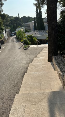 IMG_3088.JPEG