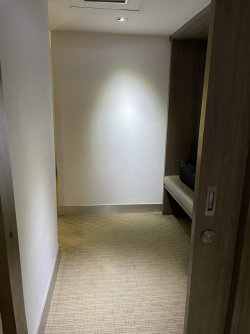 IMG_5139.jpeg