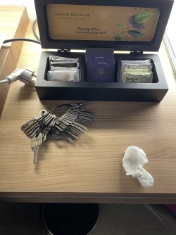 IMG_5178.jpeg