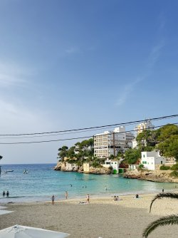 IMG_4079.jpeg