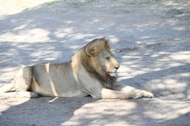 DSC_0657.JPG